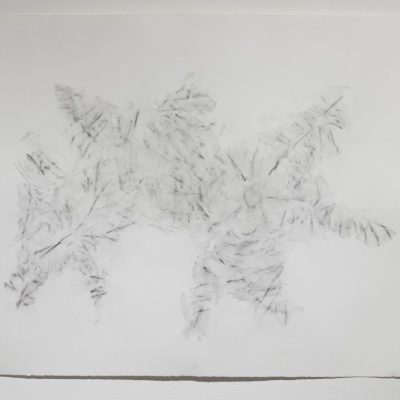 An abstract illustration on paper with graphite